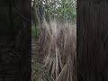জল উঠে দেখো কতক্ষতি হয়ে গেলো💗💗#sheare #comment #minivlog