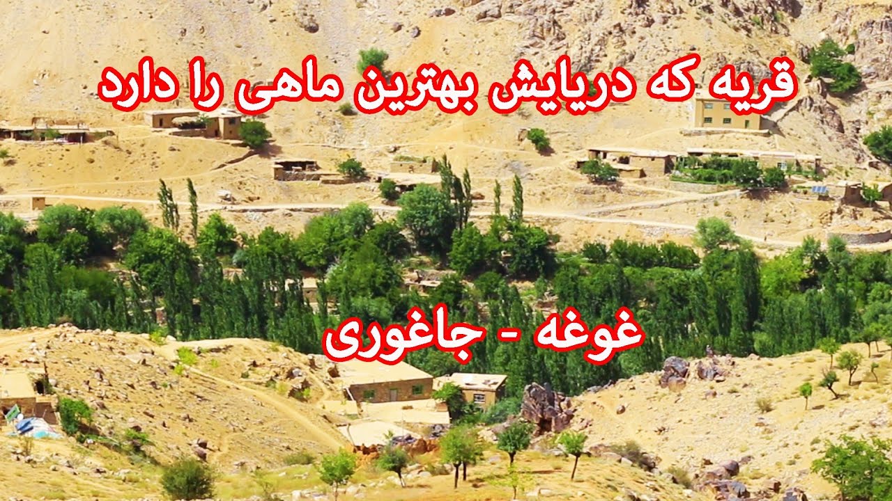 قریه که دریای آن بهترین ماهی را دارد👈 قریه غوغه-جاغوری