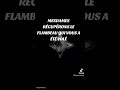 MESDAMES RÉCUPÉRER LA FLAMME QUI VOUS A ÉTÉ VOLÉ #musique #ia #music #woman