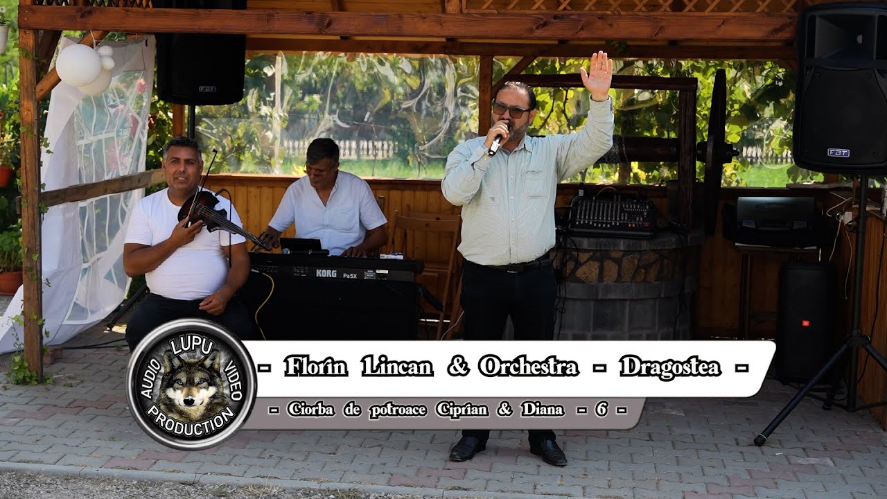 Ciorba de potroace Ciprian & Diana - 6 - Florin Lincan - Dragostea ca pe Vlasca