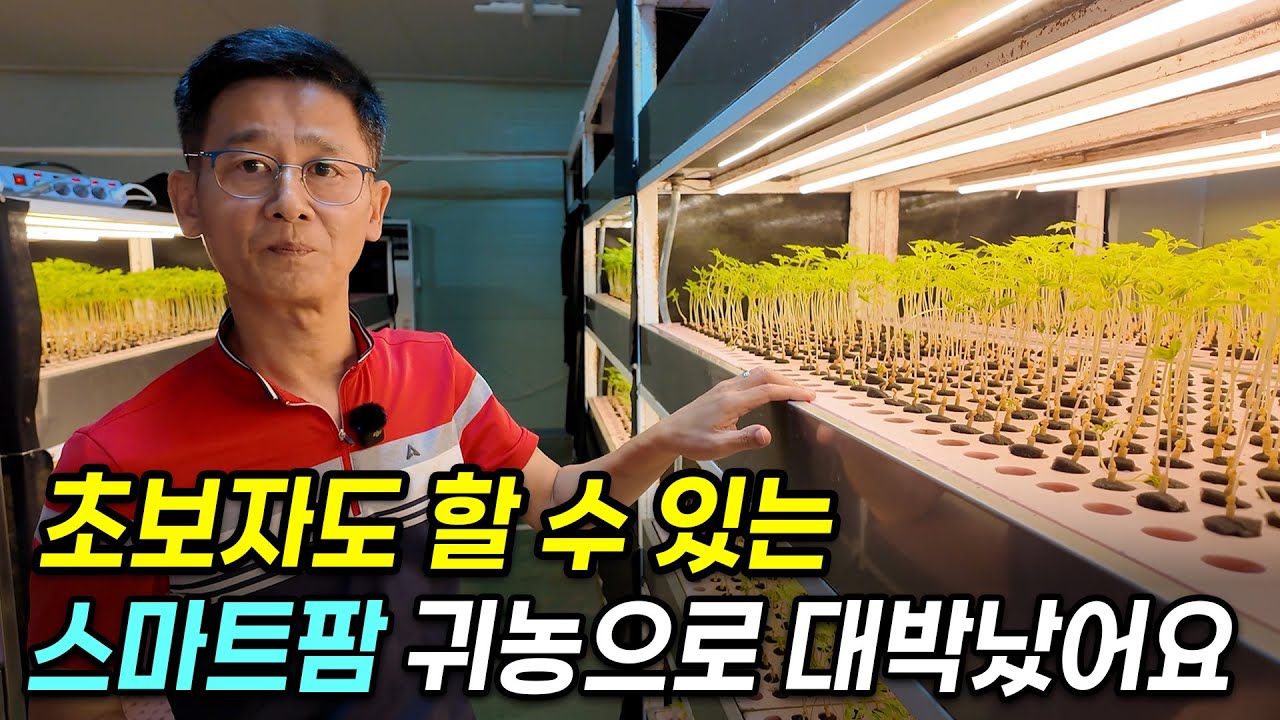 대기업 퇴사후, 매일매일 현금 도는 스마트팜으로 연매출 1억 달성한 귀농인