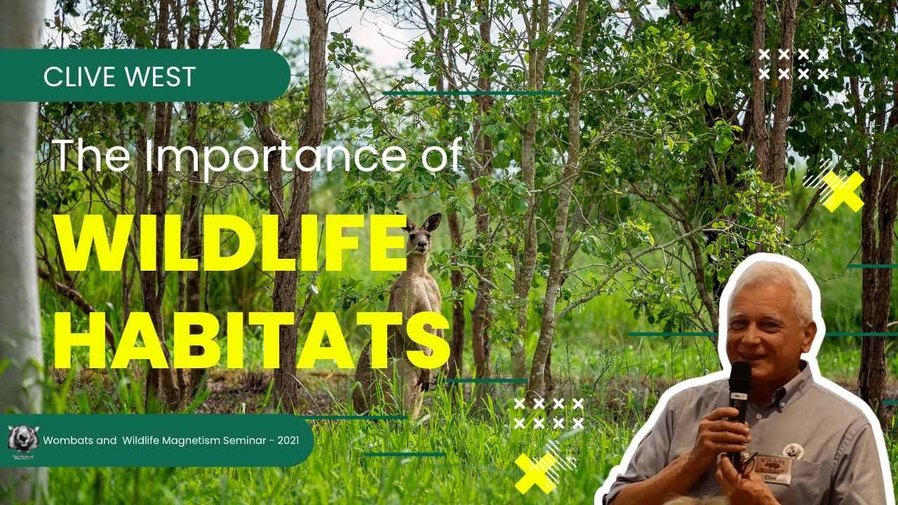 The Importance of Habitat Corridors YouTube