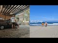 Elyu minivlog  cjbarrot