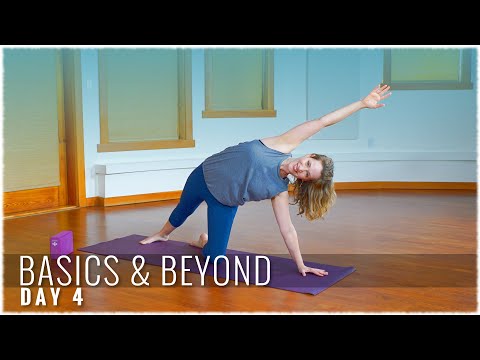Basics and Beyond
