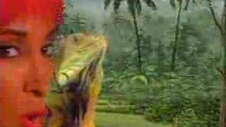 George Clinton & The Goombas- Walk The Dinosaur