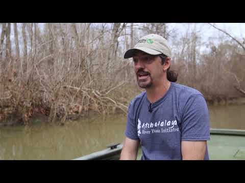 Atchafalaya River Basin: America's Largest Wetland