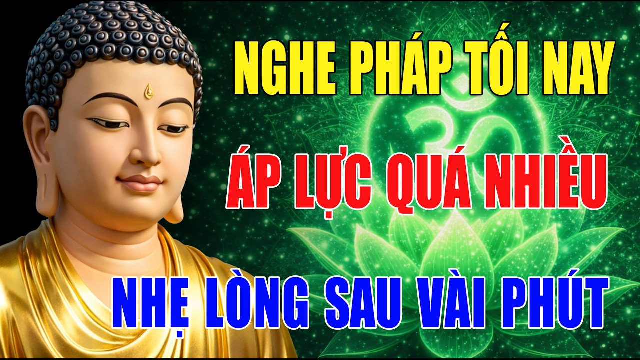 7 Điều Người Trí Tuệ Giữ Tâm An Giữa Thị Phi Cuộc Đời | 🌙 Nghe Pháp Mỗi Tối Trước Khi Ngủ