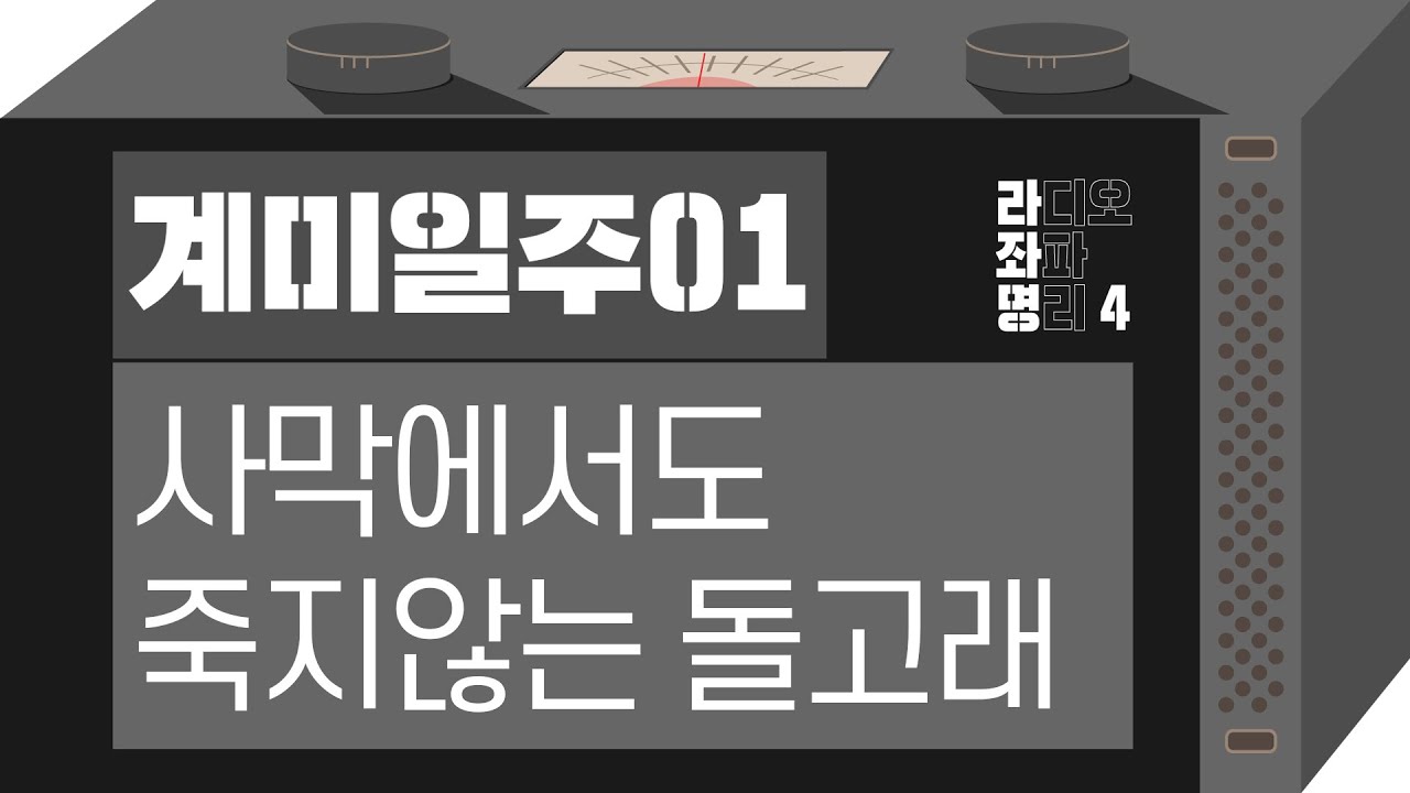 강헌의 라디오 좌파명리 시즌4 EP.73 癸未계미 01 : 사막에서도 죽지않는 돌고래