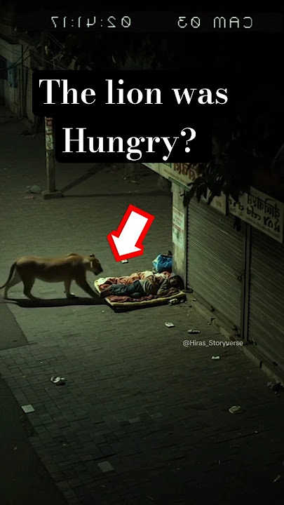 LION SNIFFS SLEEPING MAN… Then Does the UNTHINKABLE! 😱 #shorts #viral #lion