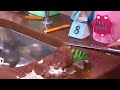 Melhores momentos do quadro É Doce ou Não é Doce.