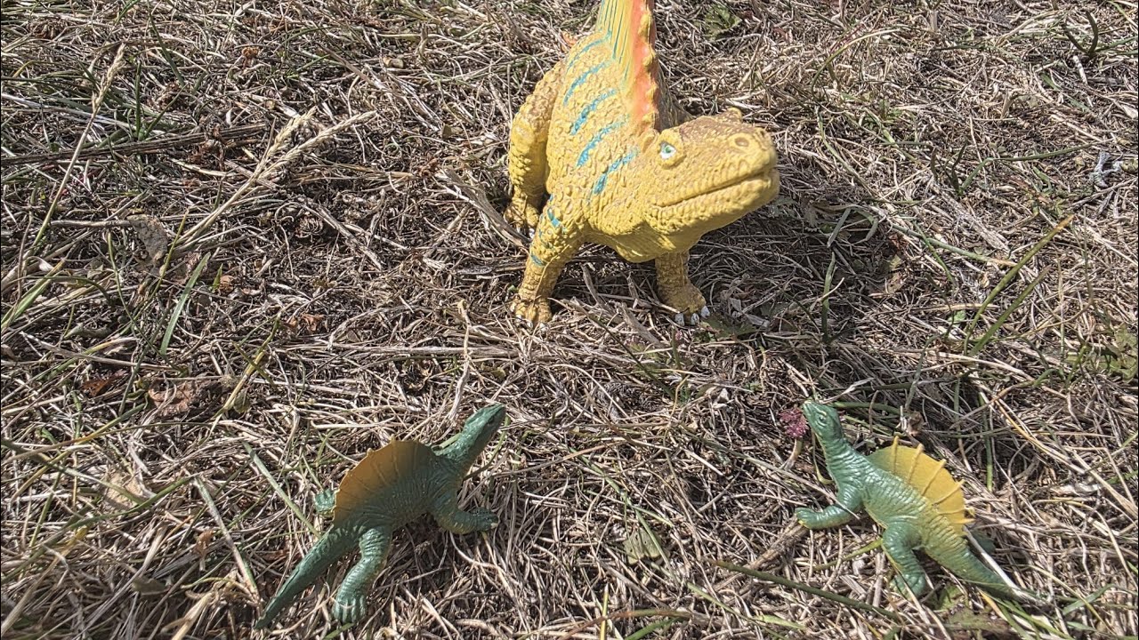 Dimetrodon Family Prehistoric Life | A Epic Prehistoric Documentary | Scene 6/8