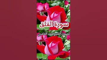 سورة الفلق بصوت الشيخ سعد الغامدي ❤️
