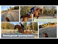 Упражнение на контроль и подчинение . Конкур. GoPro