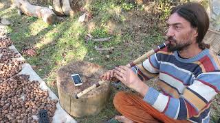 Kaval Re - Ash Wood