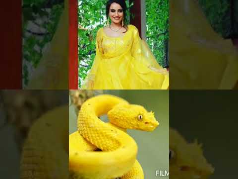 Surbhi jyoti dress matching snake