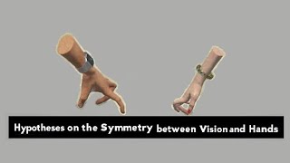 Hypotheses on the Symmetry between Vision and Hands
