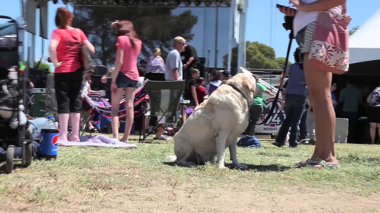 Pet a Palooza 2015 | SitMeansSit.com