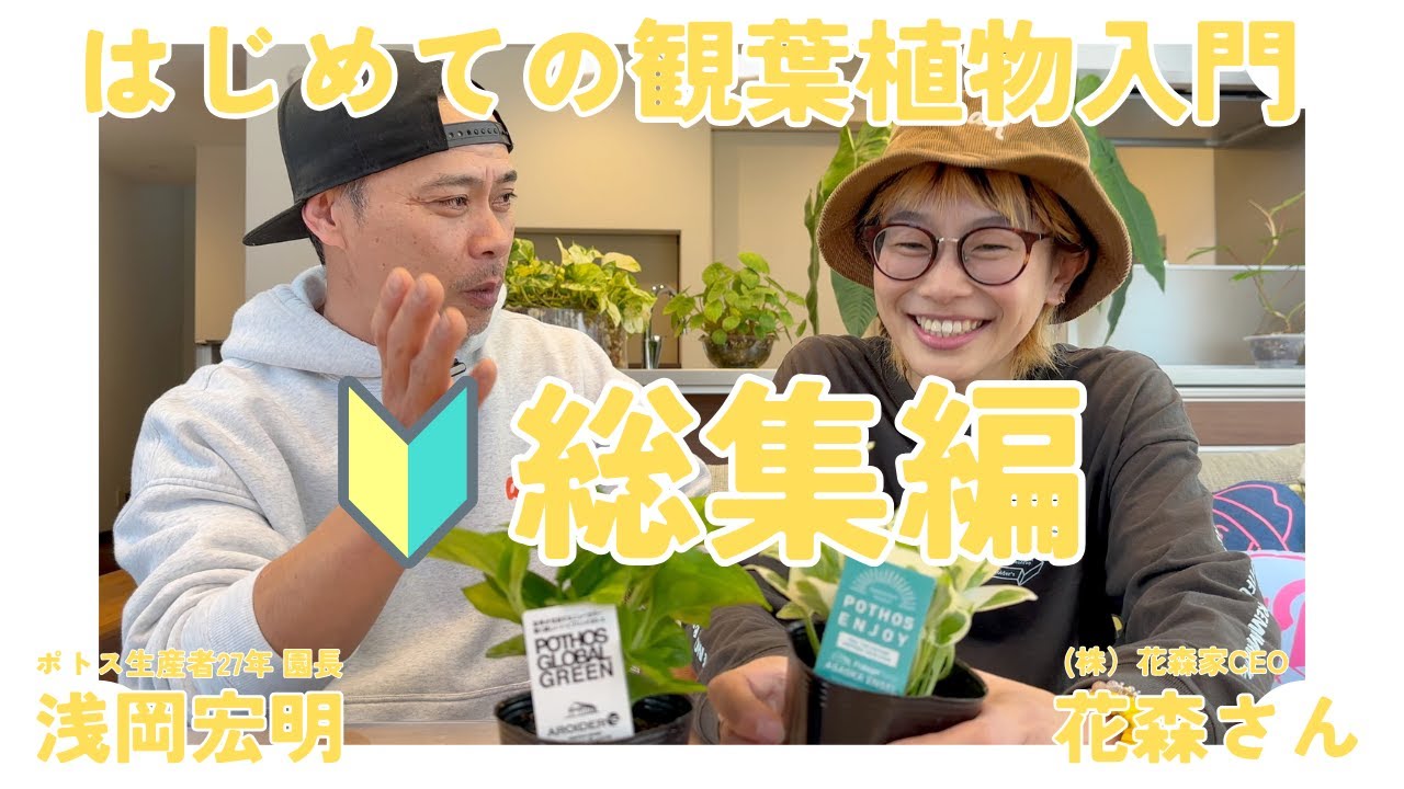 【観葉植物ビギナー🔰総集編】新生活にグリーンと暮らす/観葉植物の基礎知識