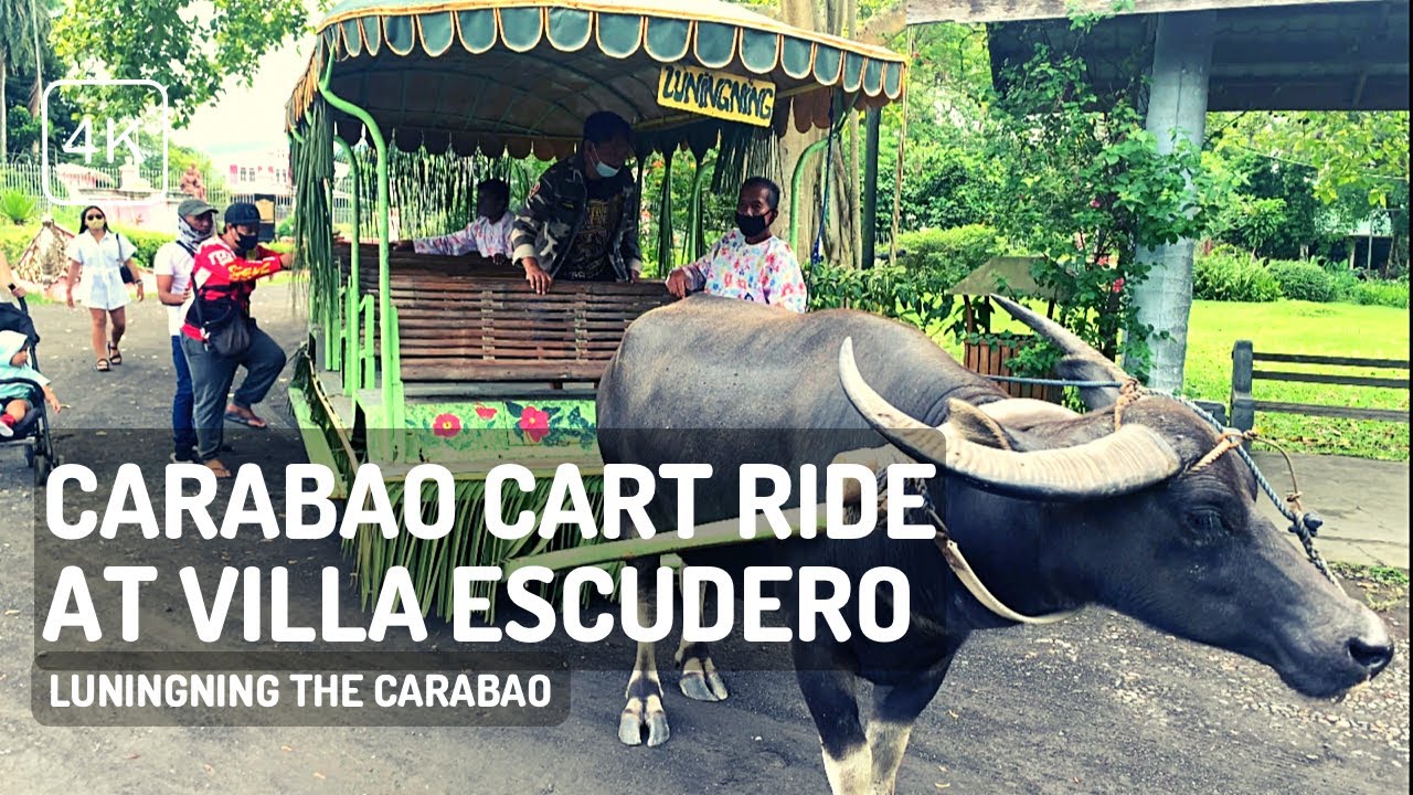 [4K] Carabao Cart Ride With LUNINGNING At Villa Escudero Day Tour | Jes ...