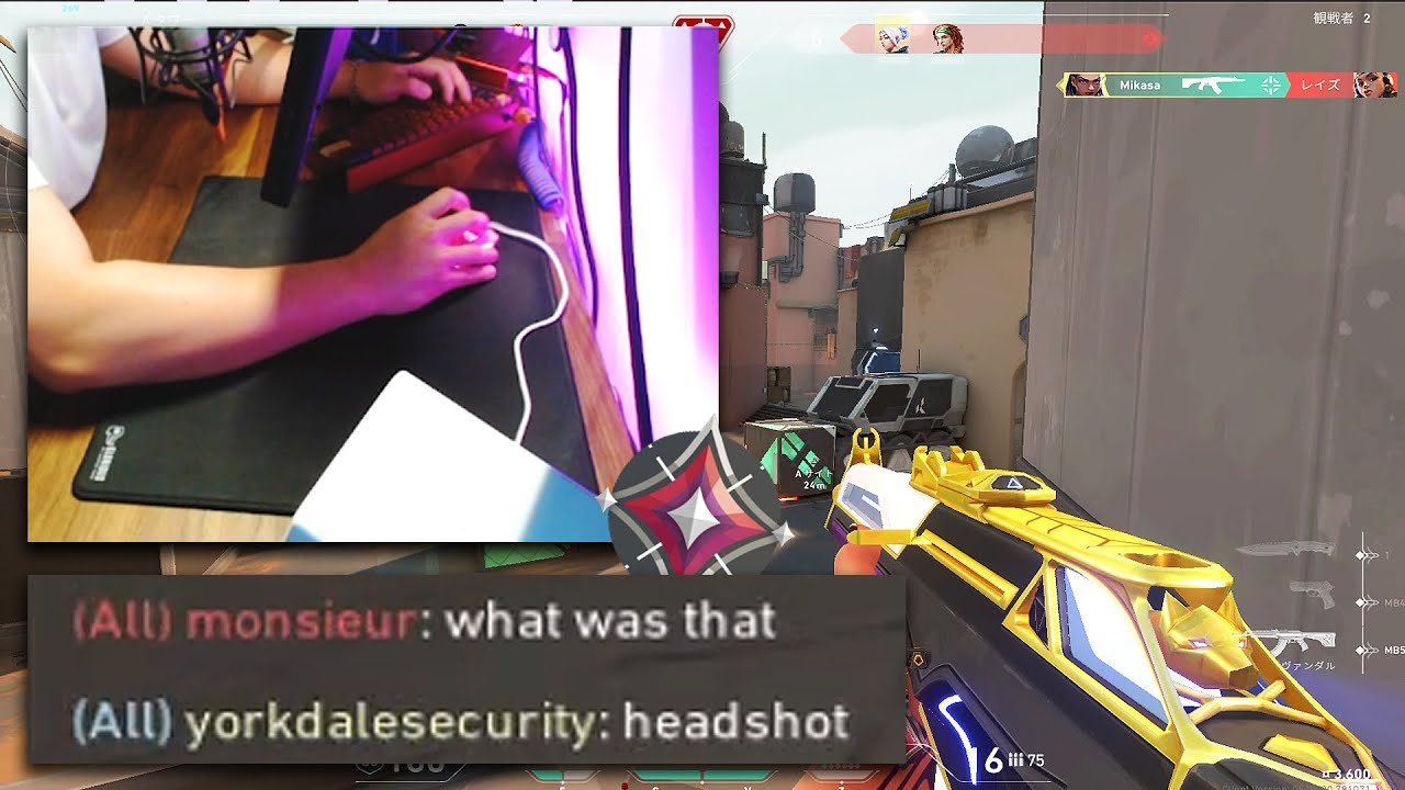 Have you seen a high sens player before? - YouTube