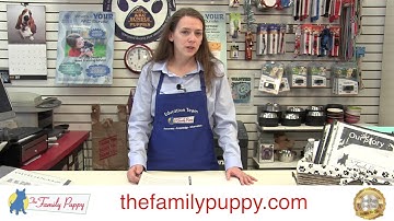 Training video: About the Employee Handbook