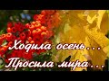 🍁🍁🍁ХОДИЛА ОСЕНЬ ПРОСИЛА МИРА...Ирина Самарина- Лабиринт🍁Красивая музыка Сергея Чекалина!