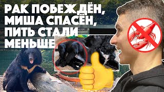 Шестилапый щенок спасён! Хорошие новости из Англии. Январь 2024