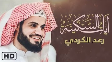 آيات السكينة لدفع القلق والهموم .. القارئ رعد الكردي