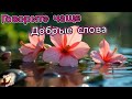 ГОВОРИТЕ ЧАЩЕ ДОБРЫЕ СЛОВА НОВАЯ ПОЗИТИВНАЯ ХРИСТИАНСКАЯ ПЕСНЯ 2025 христианскиепесни музыка
