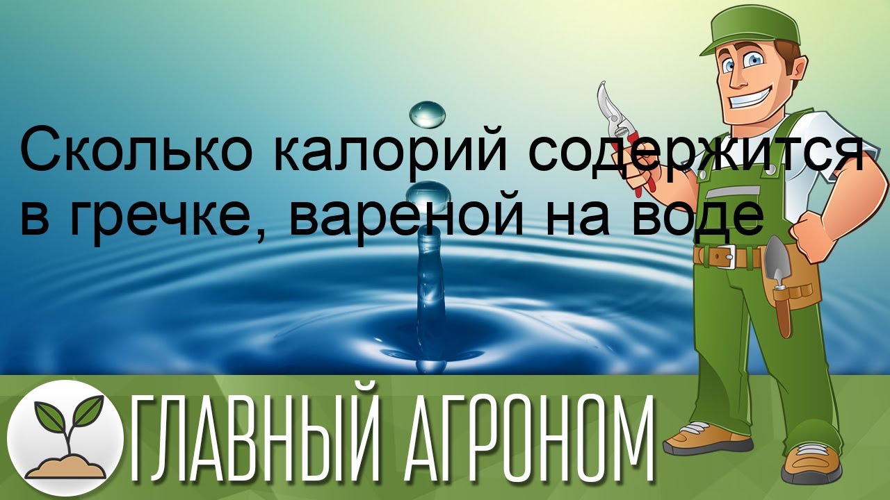 Сколько калорий содержится в гречке, вареной на воде