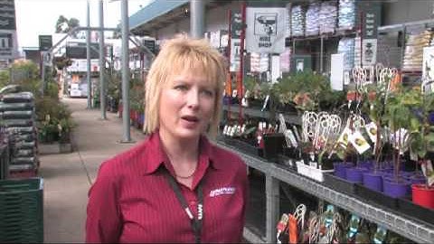 NOVA Achievers NPL and Christine