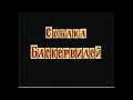 Глава 1.1..A.Conan Doyle. The Hound of the Baskervilles.Оригинал,полная версия,параллельный перевод.