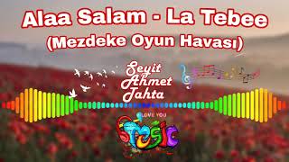 Alaa Salam - La Tebee (Mezdeke Oyun Havası) Resimi