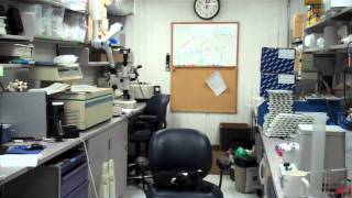 Northeastern Co-op: Antarctica