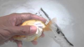 20150929 3