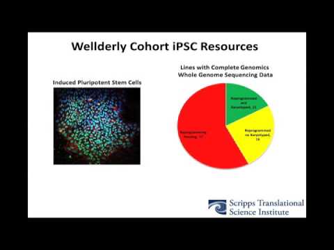 Wellderly iPSCs as a Coronary Artery Disease Resource