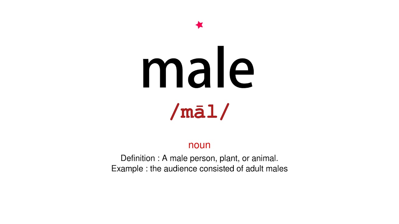how-to-pronounce-male-vocab-today-youtube