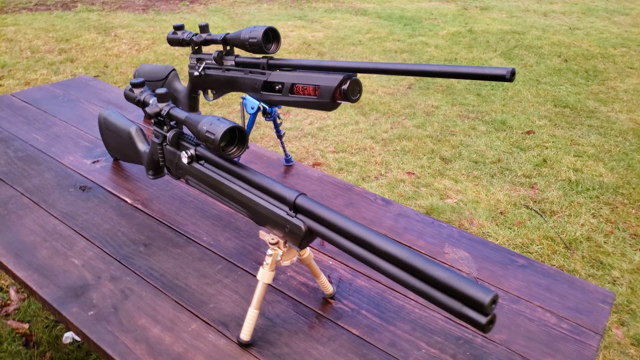 Umarex gauntlet vs air venturi avenger .25 caliber YouTube