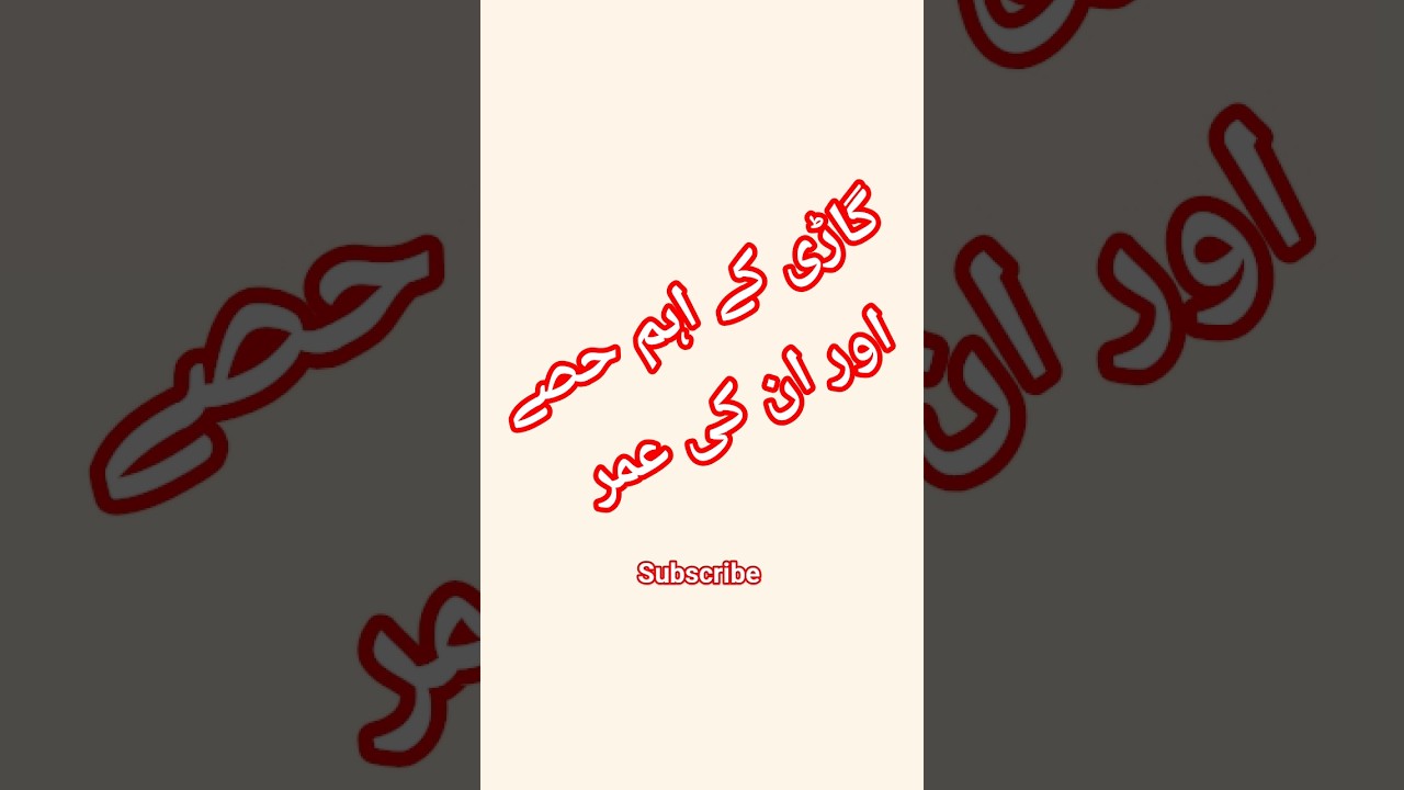 Car Parts Lifespan & Maintenance Tips for Longevity! 