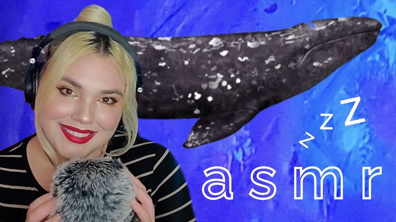 The Gray Whale 🐋 ~ Cozy Ocean ASMR (Whispering ASMR Facts)