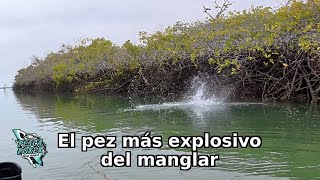 Una jornada de pesca muy explosiva 🔥🎣