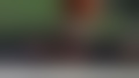 Happiness Is A Warm Gun    The Breeders