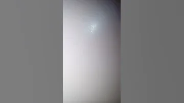 بنات من وجدة 