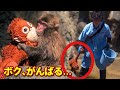 【パンチくん🐵】オランママ恋しい…お兄ちゃんになろうと涙をこらえて葛藤する姿が尊すぎる!
