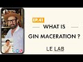 What Is Gin Maceration Ep 41