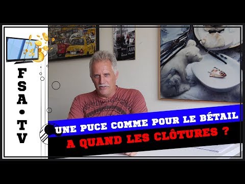 Vidéo: Quand implanter du bétail ?