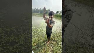 Beautiful boy fisherman catching catfishing in village big pond #bass #fish #villagelife #fishing