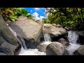 Nature Sounds and River Flow | Deep Sleep Music for Meditation and Peaceful Rest