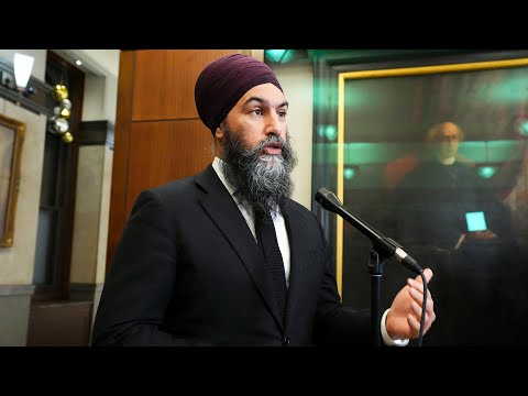 NDP Leader calls Premier Ford's private care investment 'illogical' | Power Play with Vassy Kapelos