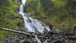 Camping Off Beach in Alaskan Rainforest